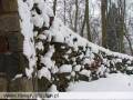 autorzy:fedar:20060219_wyrypa:904_wyrypa_20060219.jpg