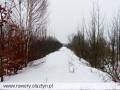 autorzy:fedar:20060219_wyrypa:914_wyrypa_20060219.jpg