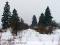 autorzy:fedar:20060219_wyrypa:917_wyrypa_20060219.jpg