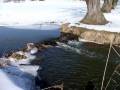 autorzy:fedar:20060312_lydynia:012.jpg