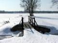 autorzy:fedar:20060312_lydynia:028.jpg