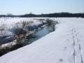 autorzy:fedar:20060312_lydynia:032.jpg