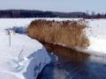 autorzy:fedar:20060312_lydynia:033.jpg