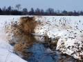 autorzy:fedar:20060312_lydynia:035.jpg
