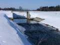 autorzy:fedar:20060312_lydynia:039.jpg