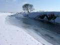 autorzy:fedar:20060312_lydynia:046.jpg