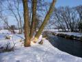 autorzy:fedar:20060312_lydynia:961.jpg