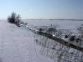 autorzy:fedar:20060312_lydynia:973.jpg