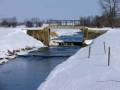 autorzy:fedar:20060312_lydynia:976.jpg