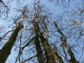 autorzy:fedar:20060325_lydynia:181_lydynia_20060325.jpg
