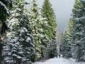 autorzy:fedar:20070127_wp2007:7478.jpg