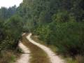 autorzy:fedar:20080927_glinojeck:5462_rydzewo_20080927.jpg