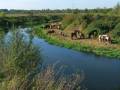 autorzy:fedar:20080927_glinojeck:5492_glinojeck_20080927.jpg