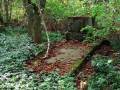 autorzy:fedar:20080927_glinojeck:5504_piaski_20080927.jpg