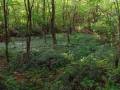 autorzy:fedar:20080927_glinojeck:5506_piaski_20080927.jpg