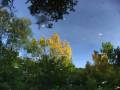 autorzy:fedar:20080927_glinojeck:5511_dziektarzewo_20080927.jpg