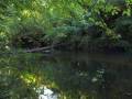 autorzy:fedar:20080927_glinojeck:5515_dziektarzewo_20080927.jpg