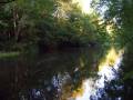 autorzy:fedar:20080927_glinojeck:5519_dziektarzewo_20080927.jpg