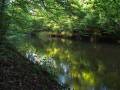 autorzy:fedar:20080927_glinojeck:5524_dziektarzewo_20080927.jpg
