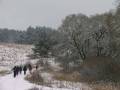 autorzy:fedar:20090123_wp2009:8478.jpg