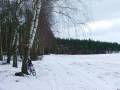 autorzy:fedar:20090215_glinojeck:8854.jpg