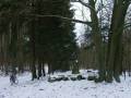 autorzy:fedar:20090215_glinojeck:8859.jpg