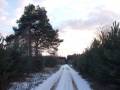 autorzy:fedar:20090215_glinojeck:8867.jpg