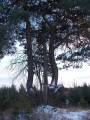 autorzy:fedar:20090215_glinojeck:8868.jpg