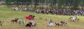 autorzy:fedar:grunwald_2005:025_grunwald.jpg