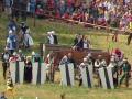 autorzy:fedar:grunwald_2005:045_grunwald.jpg