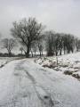 autorzy:narg:zdarzenia:20050212:shot57.jpg