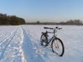 autorzy:narg:zdarzenia:20060128:p1281427.jpg