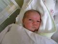 autorzy:narg:zdarzenia:20060330:p4021807.jpg