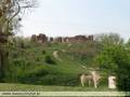 autorzy:narg:zdarzenia:20070428:p4280504.jpg