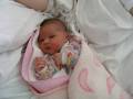 autorzy:narg:zdarzenia:20071003:pa030001.jpg