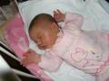 autorzy:narg:zdarzenia:20071003:pa050008.jpg