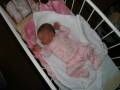 autorzy:narg:zdarzenia:20071003:pa050009.jpg