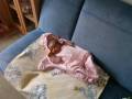 autorzy:narg:zdarzenia:20071003:pa050013.jpg