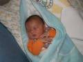 autorzy:narg:zdarzenia:20071003:pa060046.jpg