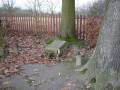 miejsca:1831:lubelskie:kazimierz_dolny:2009-11-28:kazimierz_dln31.tk02.jpg