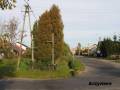 miejsca:1831:mazowieckie:debe_wielkie:2013-10-05:debe.wlk31.km006.jpg