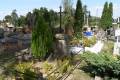 miejsca:1863:lubelskie:janow_podlaski:2009-08-10:p8101799.jpg