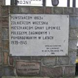 lipowiec2.jpg