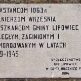 3565_lipowiec_koscielny_20080518.jpg
