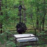 3065_nowy_podos_20080511.jpg