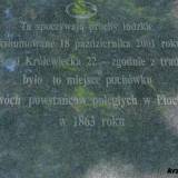 plock632.jpg