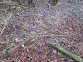 miejsca:1863:mazowieckie:prace_duze:2013-11-16:img_0482.jpg