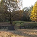 pa233309.jpg