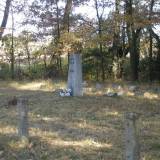 pa290402.jpg