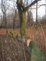 miejsca:1914:lodzkie:wiaczyn_dolny:2004-12-11:img_0085.jpg